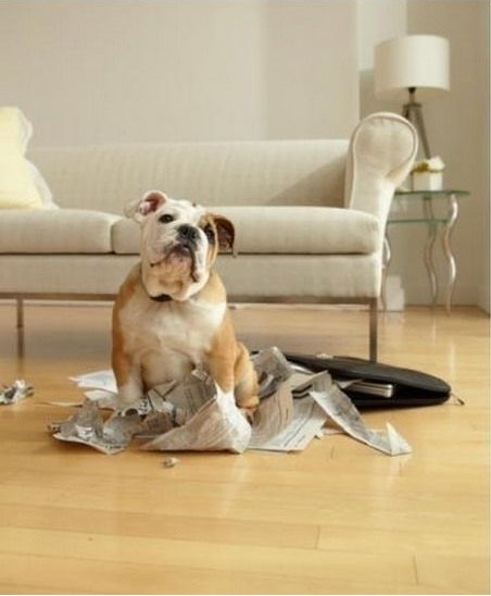 Д[O(sh)(yng)ԓMһЩFءƷ